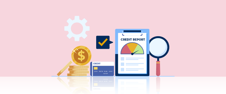 Company Credit Report