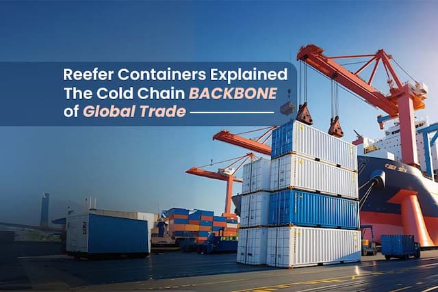 Reefer Containers Explained: The Cold Chain Backbone of Global Trade