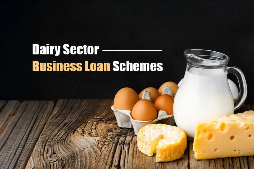 Dairy Sector Business Loan Schemes in India