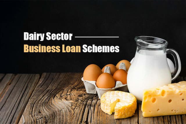 Dairy Sector Business Loan Schemes in India