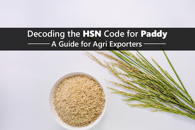 Paddy HSN Code: GST Rate and Export Classification Guide