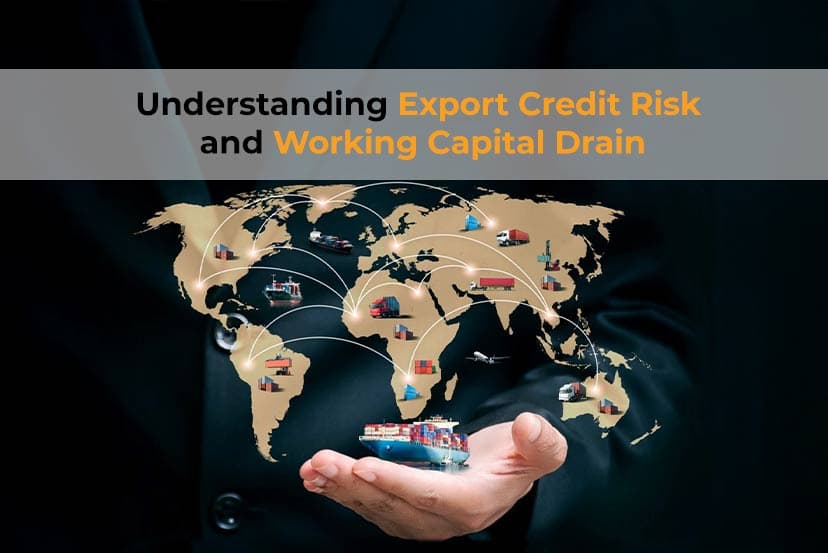 Understanding Export Credit Risk and Working Capital Drain